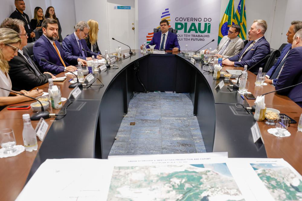 Governador do Piauí discute projeto de hidrogênio verde com embaixadora da União Europeia no Brasil