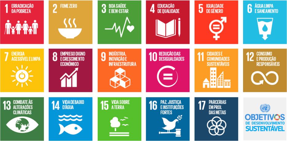 Os Objetivos de Desenvolvimento Sustentável 